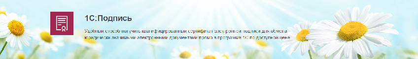 1С-подпись.png 1С-подпись.png